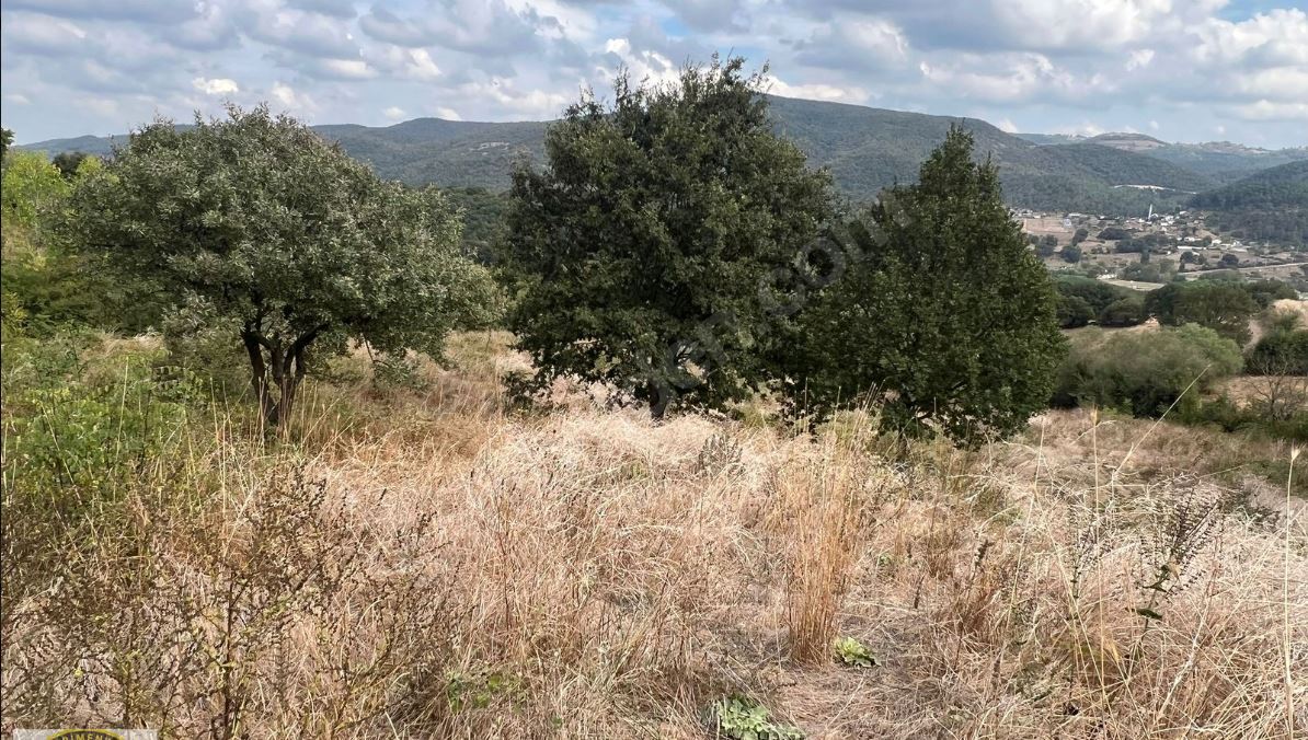 JET GAYRİMENKUL'DEN YATIRIM FIRSATI