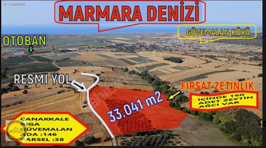 ZEYTİNLİK DENİZ MANZARALI