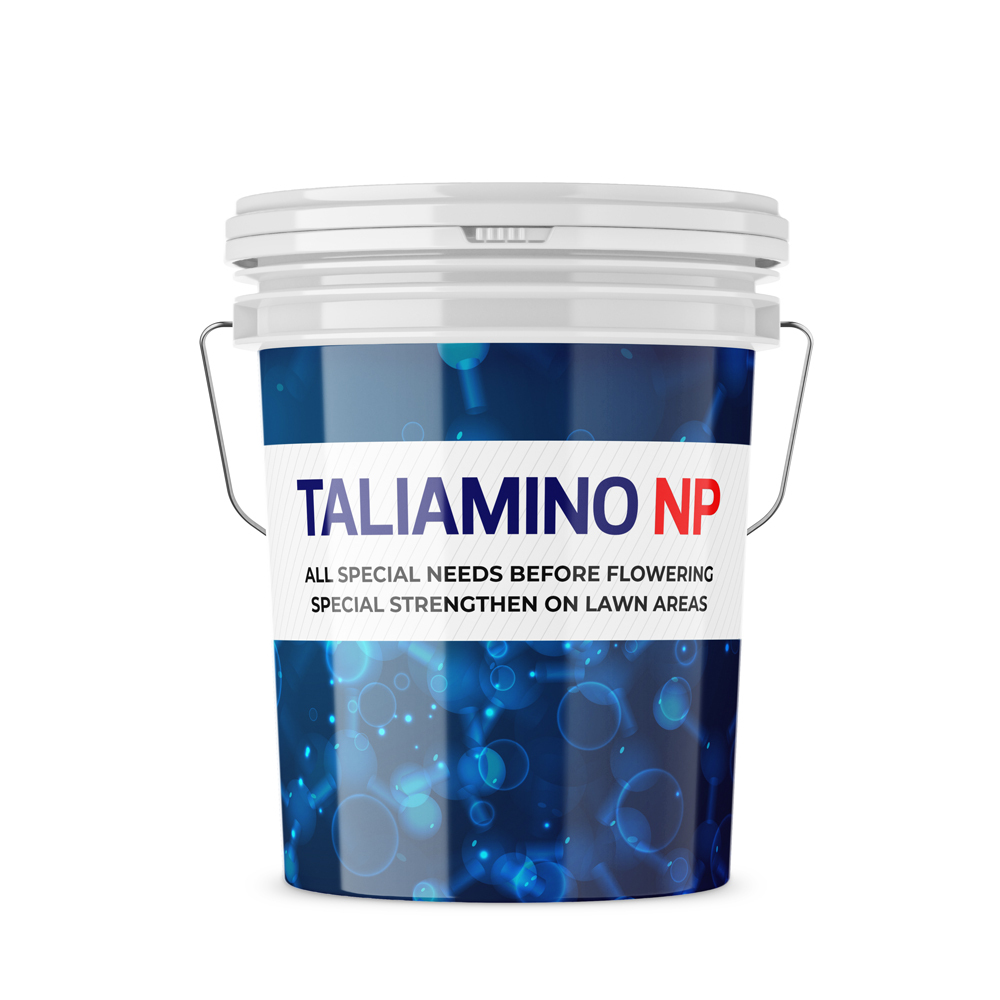 TALIAMINO NP