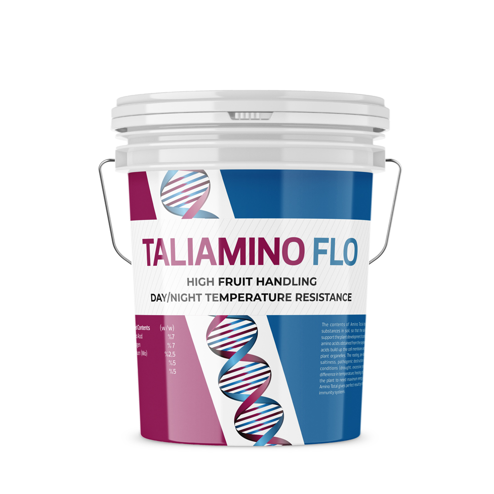 TALIAMINO FLO